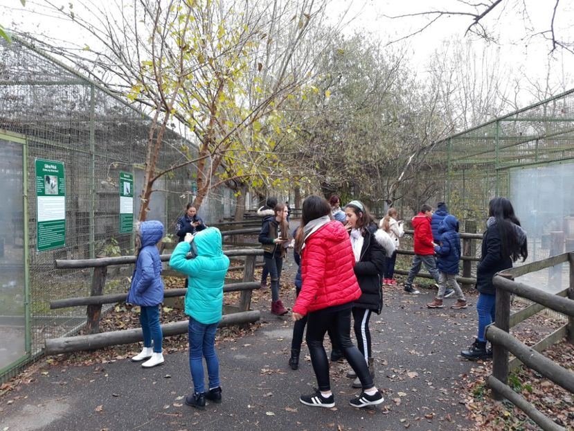  - 2018 - Excursie 17-18 noiembrie