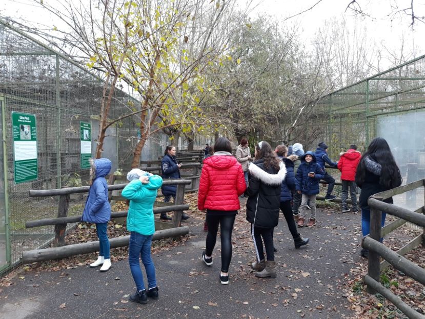  - 2018 - Excursie 17-18 noiembrie