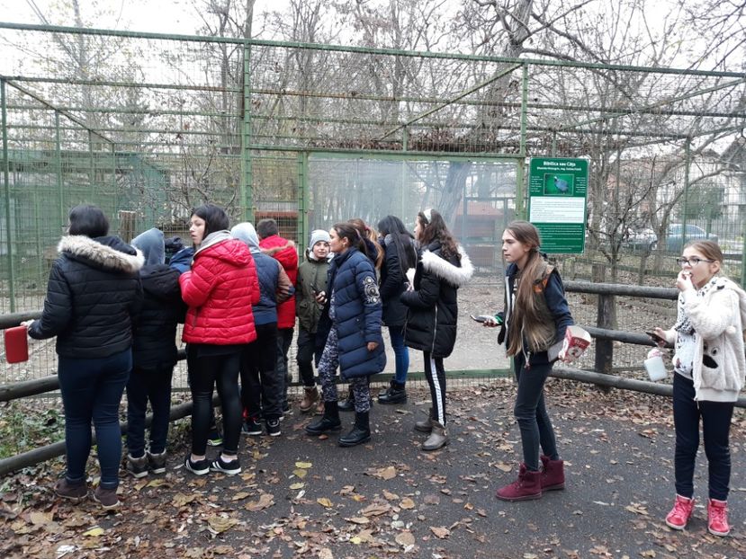  - 2018 - Excursie 17-18 noiembrie