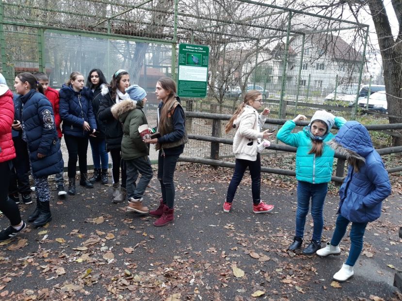  - 2018 - Excursie 17-18 noiembrie