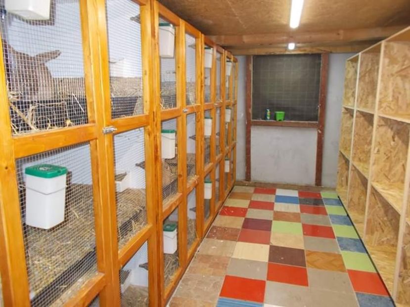  - A---RENOVARE ADAPOST