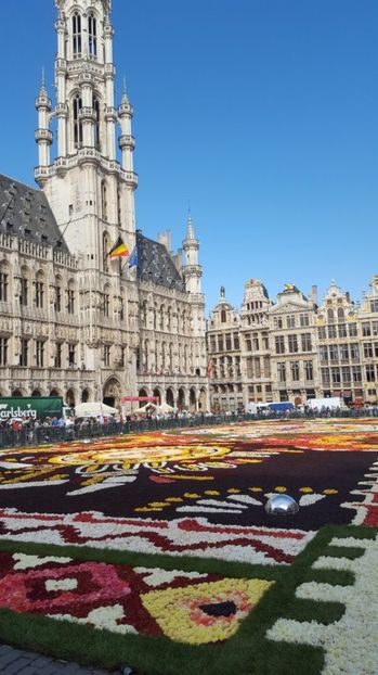 Covorul de flori din Bruxelles 2018 - Infiorata