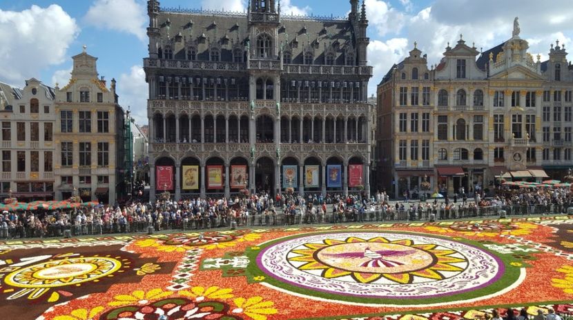 Covorul de flori din Bruxelles 2018 - Infiorata