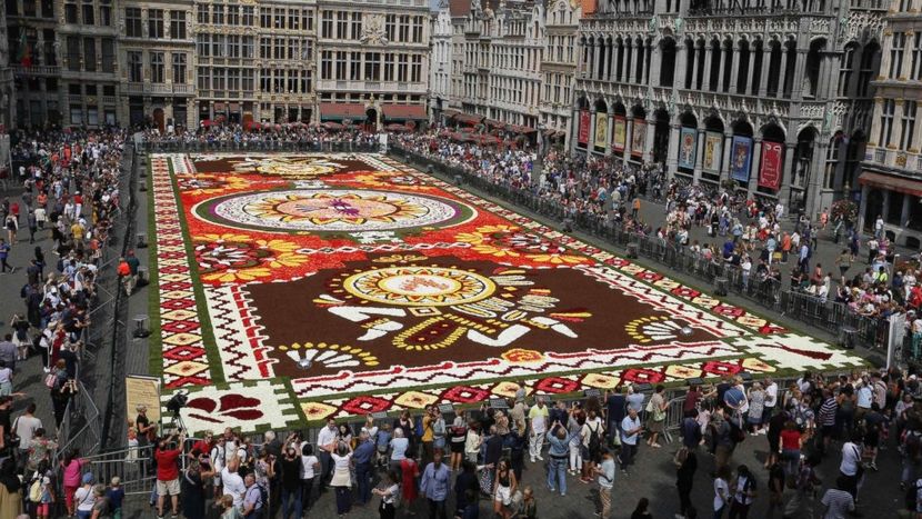 Covorul de flori din Bruxelles 2018 - Infiorata