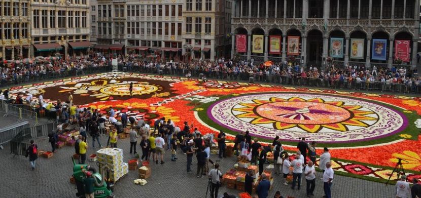 Covorul de flori din Bruxelles 2018 - Infiorata