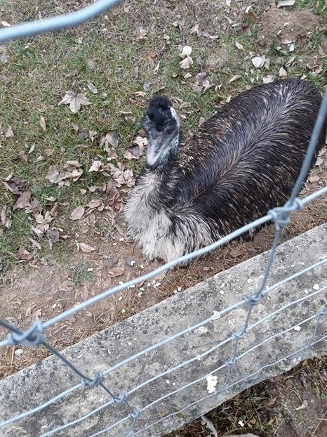  - 2018 - Excursie 17-18 noiembrie