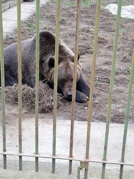  - 2018 - Excursie 17-18 noiembrie