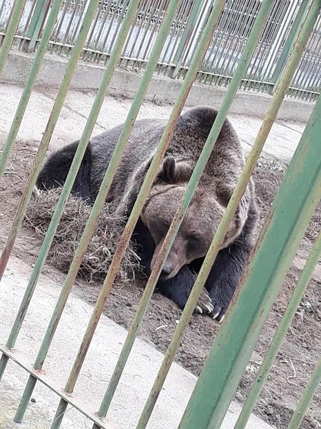  - 2018 - Excursie 17-18 noiembrie