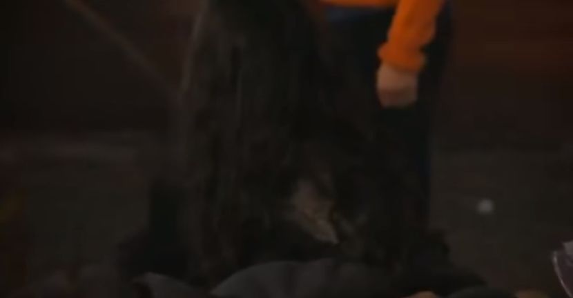 bandicam 2018-11-24 21-14-50-803 - 01 craciun sez 01 - 03