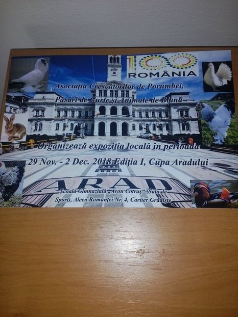  - Expoziție ARAD