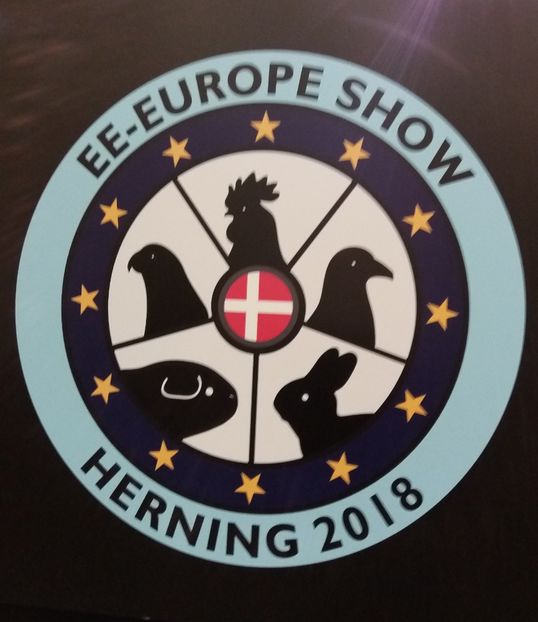 - EUROPASCHAU HERNING 2018