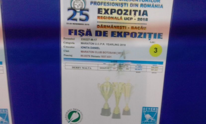  - Rezultate 2018 UCPR