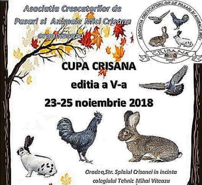  - T--TARGURI SI EXPOZITII