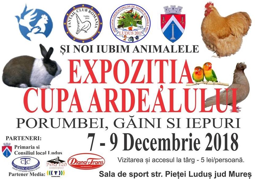  - T--TARGURI SI EXPOZITII