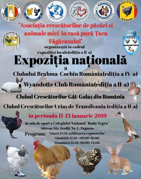  - T--TARGURI SI EXPOZITII