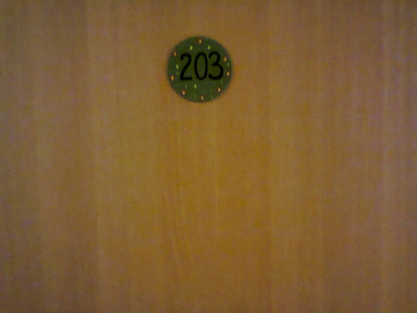 Fotografie4587 - 2018 MISKOLC Szekely Kuria 23 noiembrie