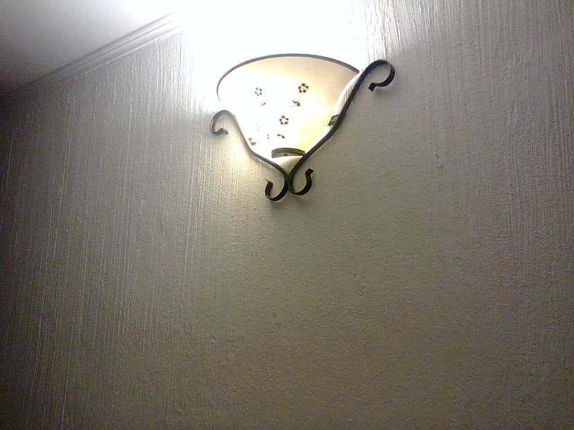 Fotografie4588 - 2018 MISKOLC Szekely Kuria 23 noiembrie