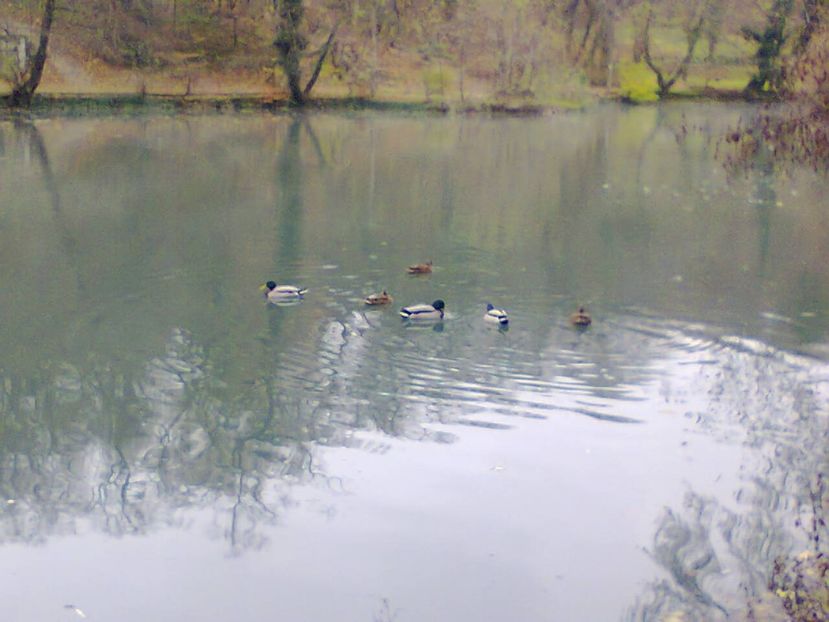 Fotografie4641 - 2018 MISKOLCTAPOLCA 24 noiembrie