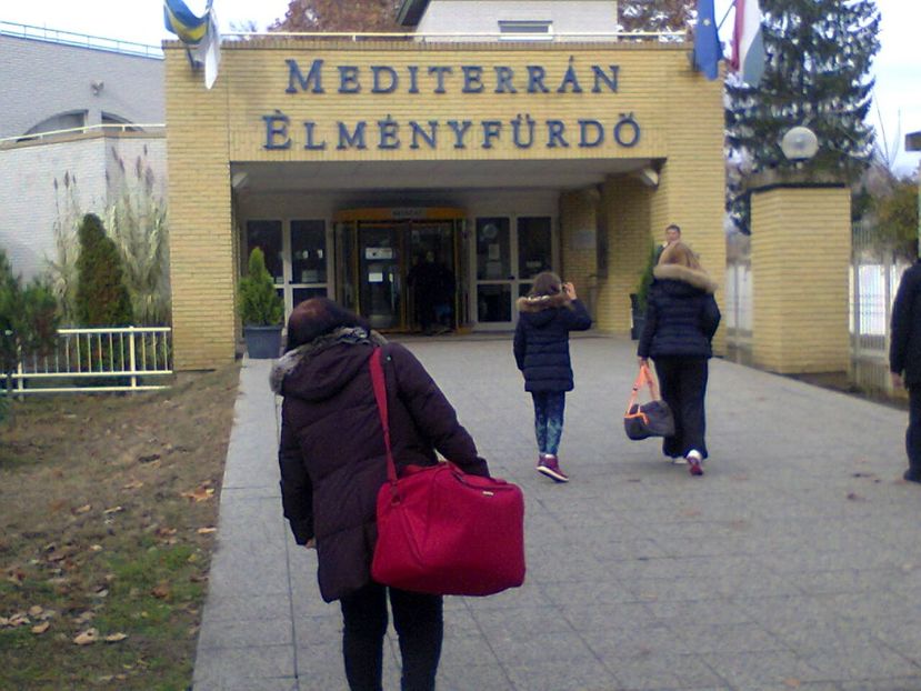 Fotografie4709 - 2018 DEBRECEN AQUATICUM MEDITERANA 25 noiembrie