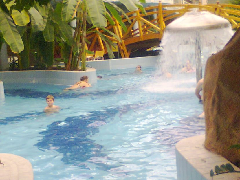 Fotografie4716 - 2018 DEBRECEN AQUATICUM MEDITERANA 25 noiembrie