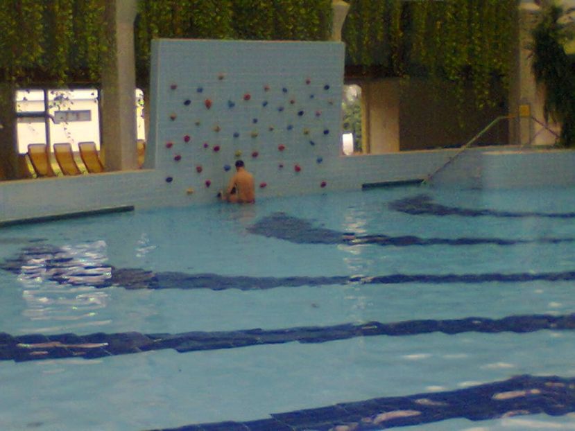 Fotografie4721 - 2018 DEBRECEN AQUATICUM MEDITERANA 25 noiembrie