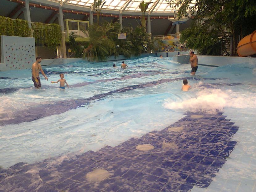 Fotografie4726 - 2018 DEBRECEN AQUATICUM MEDITERANA 25 noiembrie