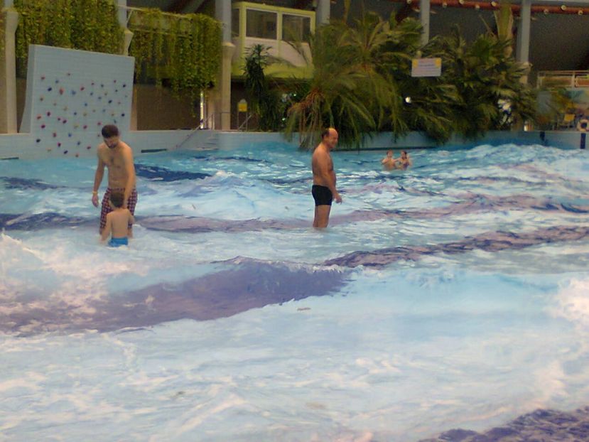 Fotografie4727 - 2018 DEBRECEN AQUATICUM MEDITERANA 25 noiembrie