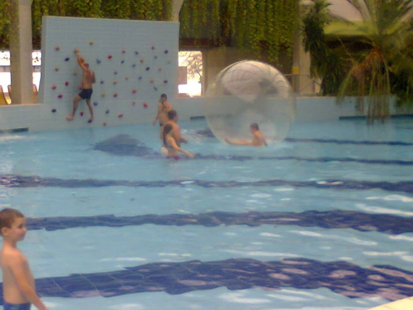 Fotografie4742 - 2018 DEBRECEN AQUATICUM MEDITERANA 25 noiembrie