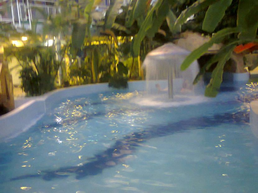 Fotografie4770 - 2018 DEBRECEN AQUATICUM MEDITERANA 25 noiembrie