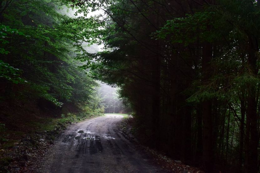  - Sfarsit de vara 2018