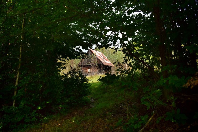  - Sfarsit de vara 2018