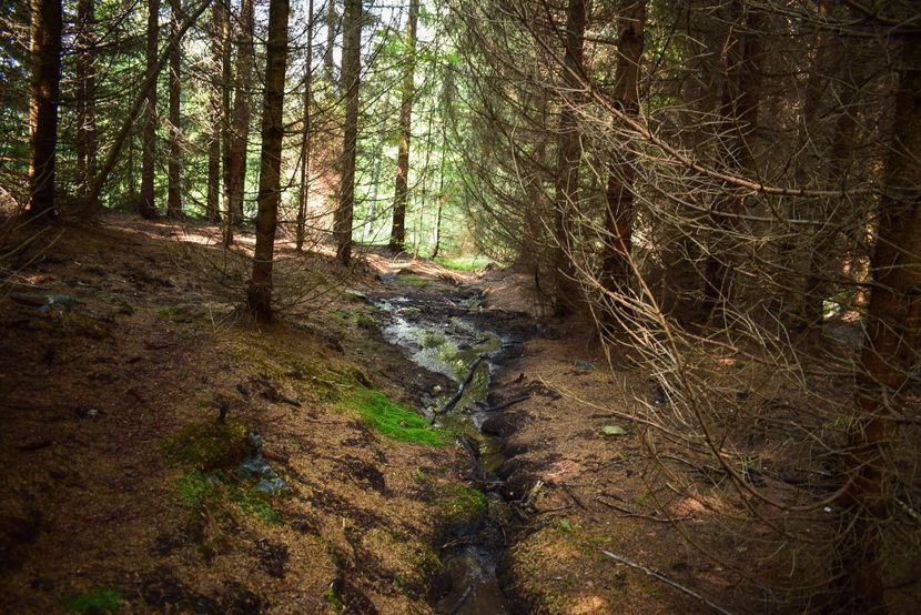  - Sfarsit de vara 2018