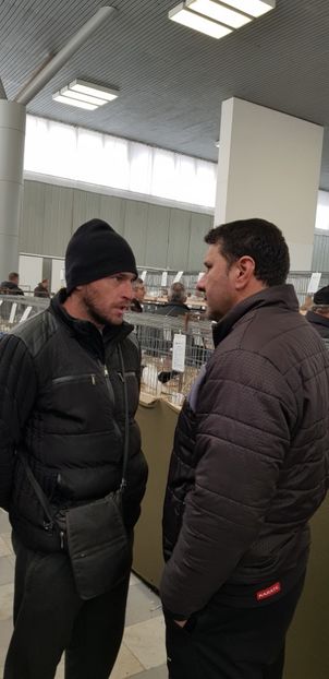  - 2--PORUMBARI PASARARI PRIETENI