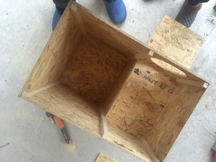  - Cuibare Rațe Exotice