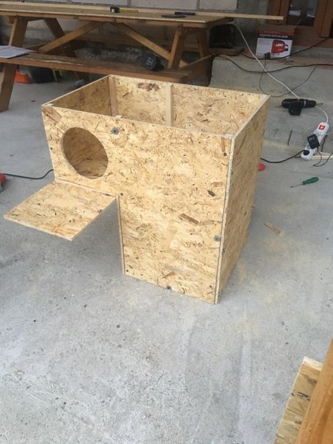  - Cuibare Rațe Exotice