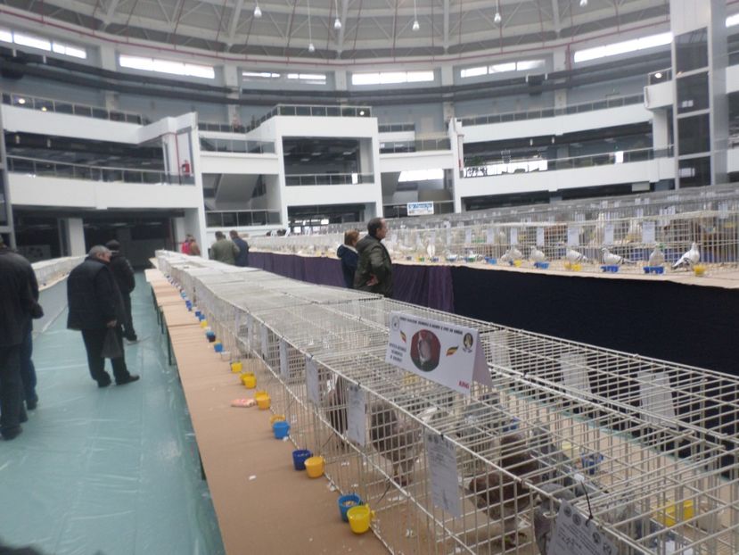 SAM_5243 - EXPOZITIE FAUNA BANIEI 2018