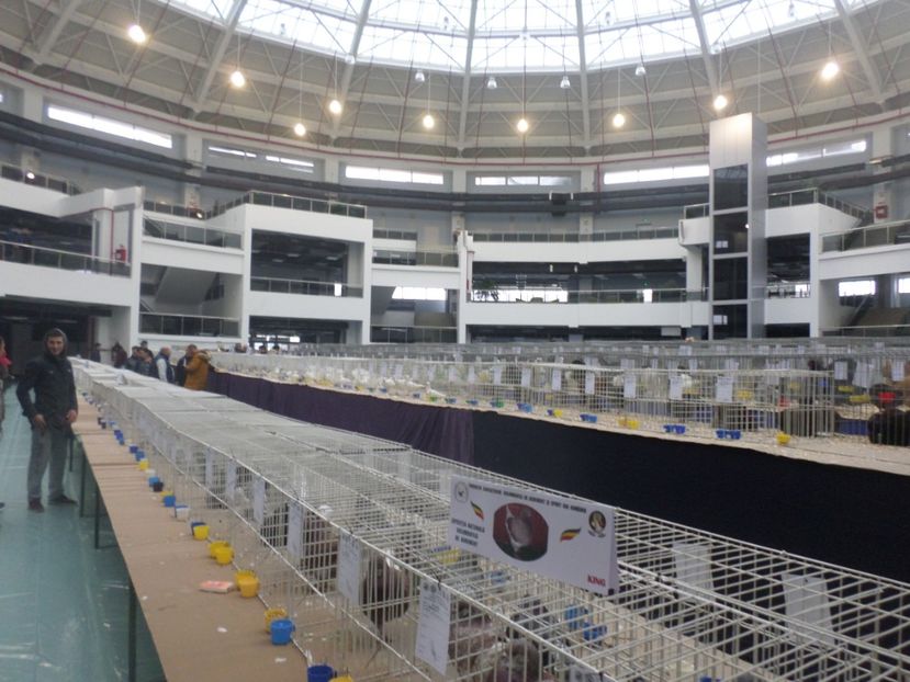 SAM_5280 - EXPOZITIE FAUNA BANIEI 2018