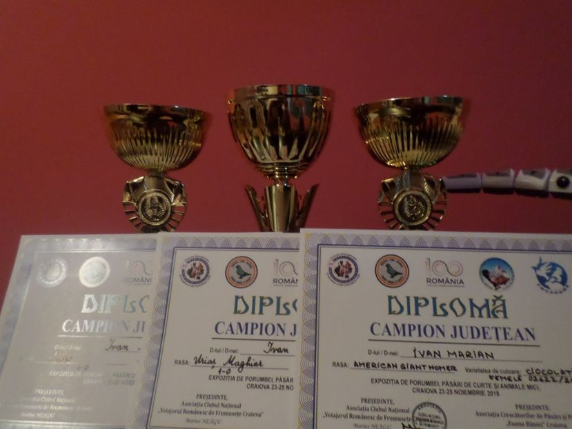 SAM_5322 - AA REZULTATE LA EXPO CNVRDF SI FAUNA BANIEI NOV 2018 CRAIOVA