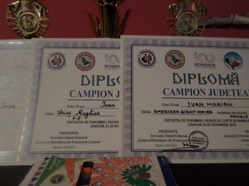 SAM_5324 - AA REZULTATE LA EXPO CNVRDF SI FAUNA BANIEI NOV 2018 CRAIOVA