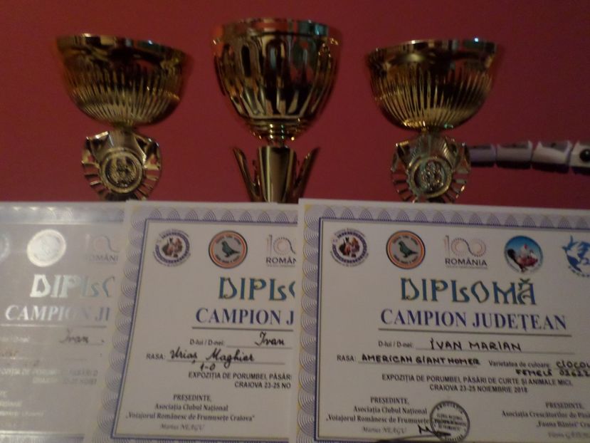 SAM_5325 - AA REZULTATE LA EXPO CNVRDF SI FAUNA BANIEI NOV 2018 CRAIOVA