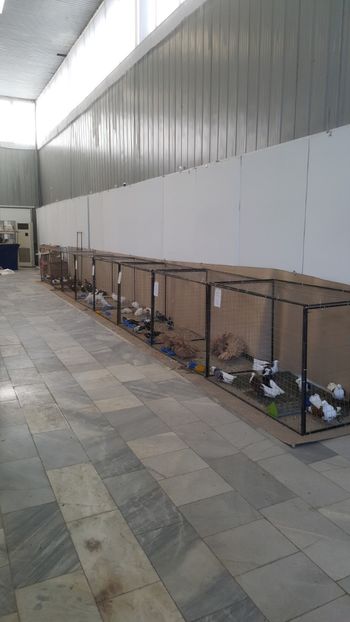  - u EXPOZIRIA NATIONALA A BULGARIEI 2018