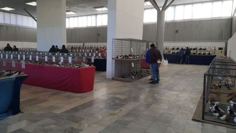  - u EXPOZIRIA NATIONALA A BULGARIEI 2018