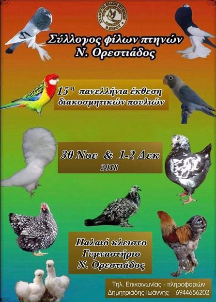  - T--TARGURI SI EXPOZITII