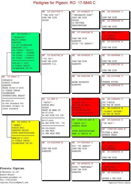 pedigree ciprian - Ciprian