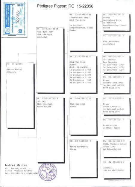 pedigree tata Ciprian - Ciprian