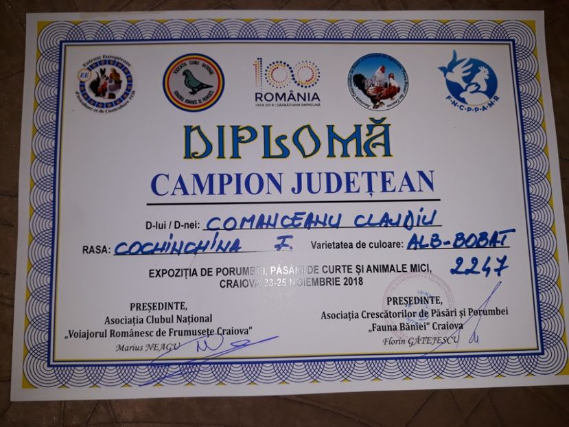  - Campioana cochin bobat craiova 2018