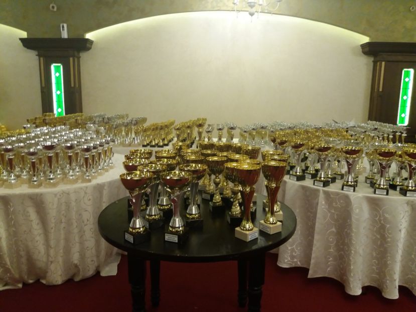 fetivitatea de premiere expo judeteana 2018 - a REZULTATE