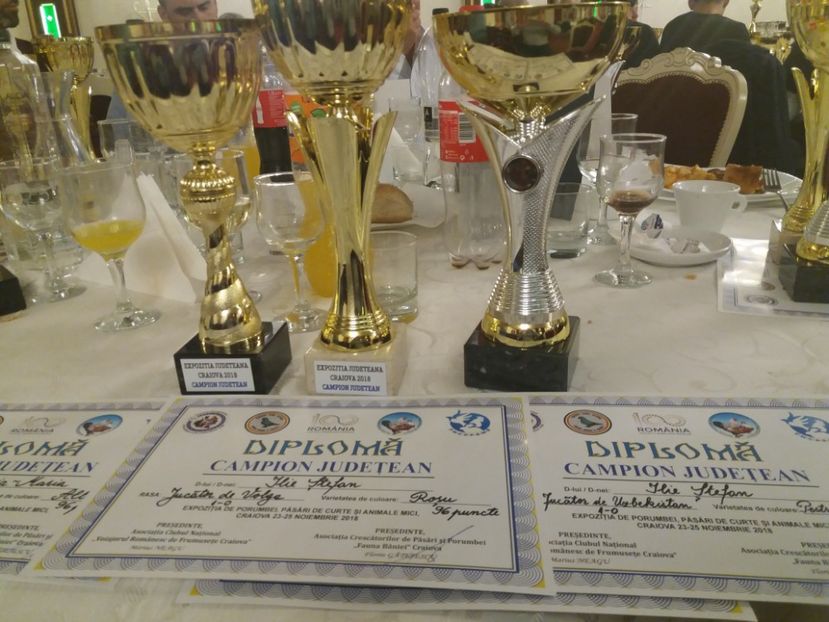 fetivitatea de premiere expo judeteana 2018 - a REZULTATE