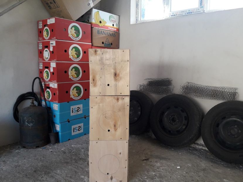  - CUIBURI DE IEPURAS