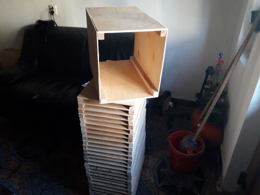  - CUIBURI DE IEPURAS